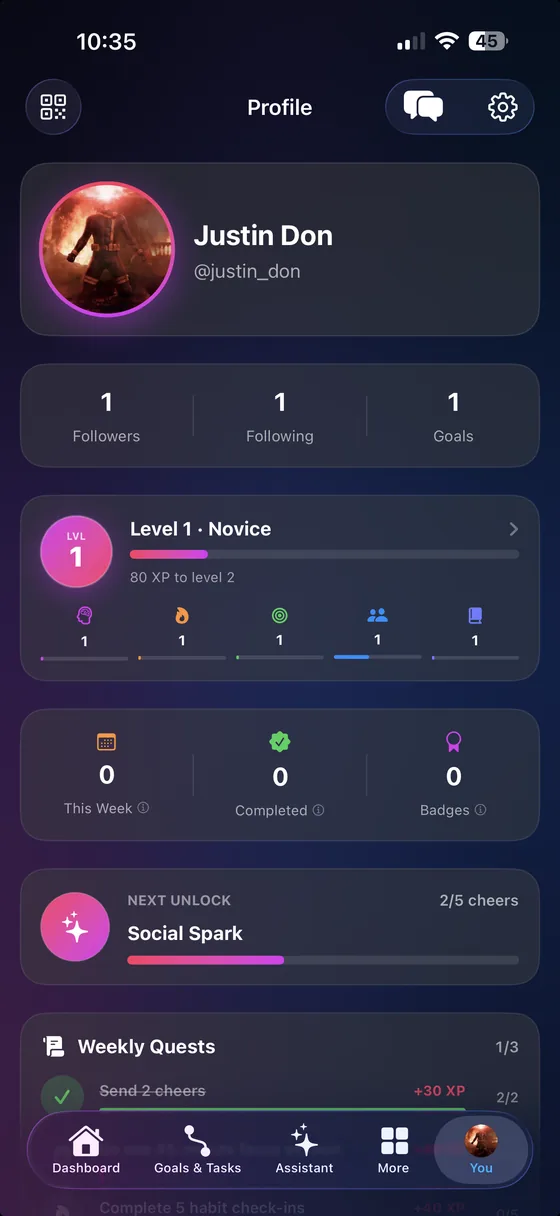 Profile showing level and XP